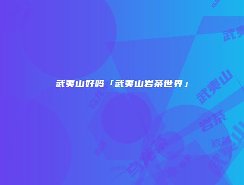 武夷山好吗「武夷山岩茶世界」