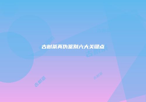 古树茶真伪鉴别六大关键点