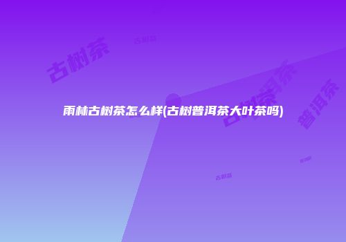 雨林古树茶怎么样(古树普洱茶大叶茶吗)