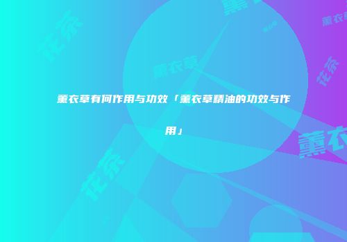 薰衣草有何作用与功效「薰衣草精油的功效与作用」