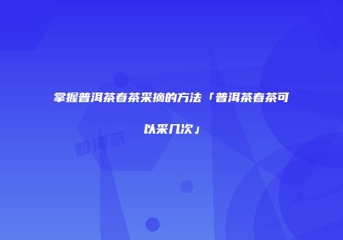 掌握普洱茶春茶采摘的方法「普洱茶春茶可以采几次」