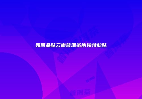 如何品味云南普洱茶的独特韵味