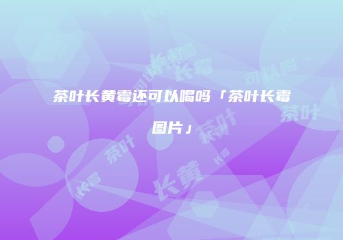 茶叶长黄霉还可以喝吗「茶叶长霉图片」