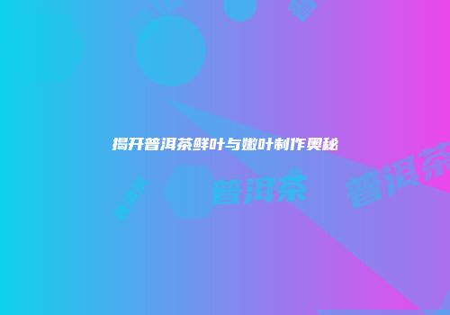 揭开普洱茶鲜叶与嫩叶制作奥秘