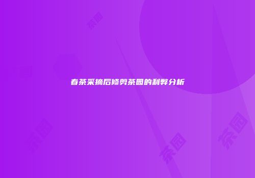 春茶采摘后修剪茶园的利弊分析