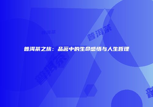 普洱茶之旅：品茗中的生命感悟与人生哲理