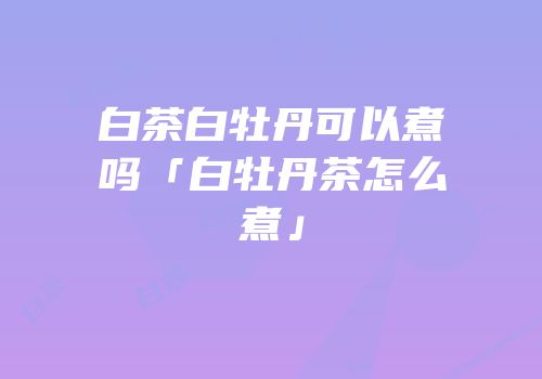 白茶白牡丹可以煮吗「白牡丹茶怎么煮」
