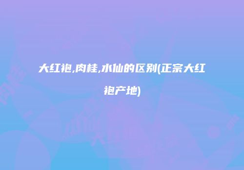 大红袍,肉桂,水仙的区别(正宗大红袍产地)