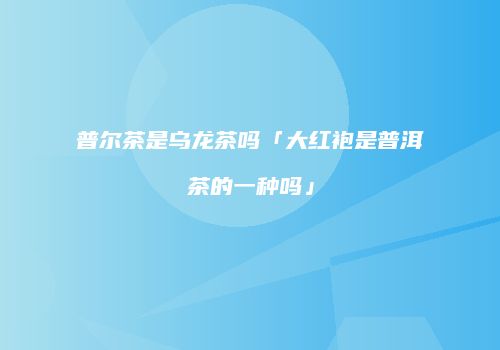 普尔茶是乌龙茶吗「大红袍是普洱茶的一种吗」