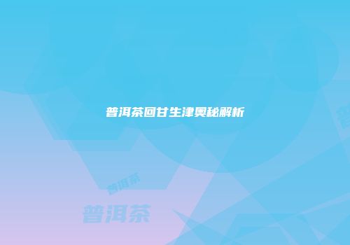 普洱茶回甘生津奥秘解析