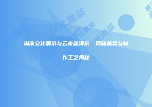 湖南安化黑茶与云南普洱茶：风味差异与制作工艺揭秘