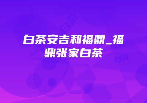 白茶安吉和福鼎_福鼎张家白茶