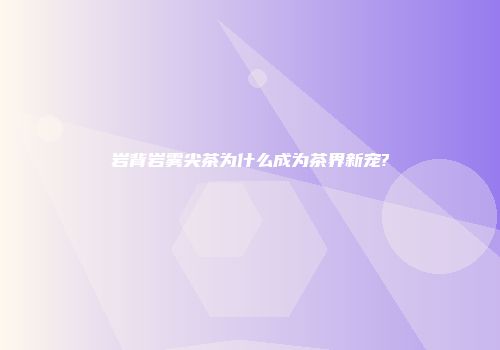 岩背岩雾尖茶为什么成为茶界新宠?