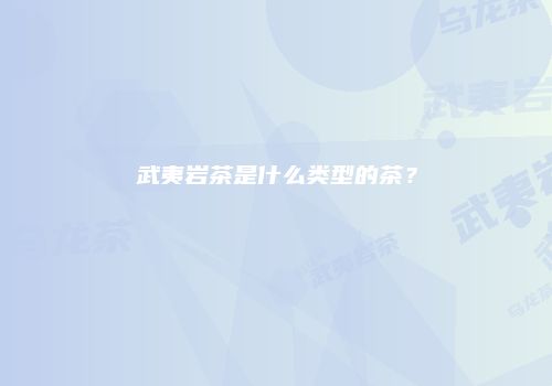 武夷岩茶是什么类型的茶？