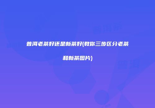 普洱老茶好还是新茶好(教你三步区分老茶和新茶图片)