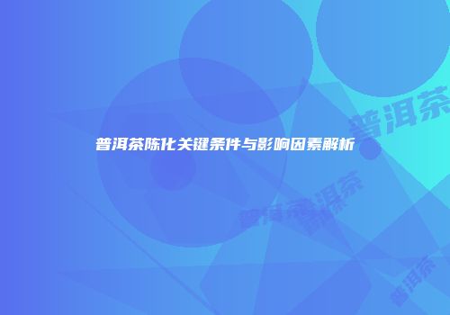 普洱茶陈化关键条件与影响因素解析