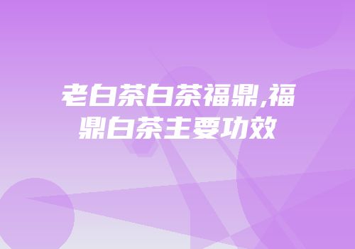 老白茶白茶福鼎,福鼎白茶主要功效