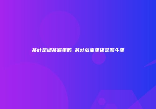 茶叶是搁茶漏里吗_茶叶放壶里还是漏斗里