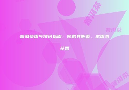 普洱茶香气辨识指南：领略其陈香、木香与花香