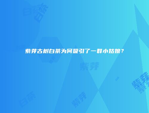 紫芽古树白茶为何吸引了一群小姑娘？
