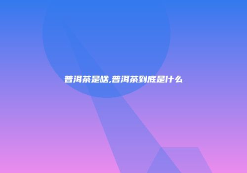 普洱茶是啥,普洱茶到底是什么