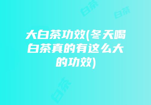 大白茶功效(冬天喝白茶真的有这么大的功效)