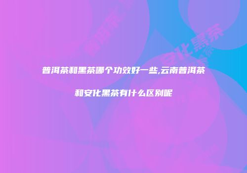普洱茶和黑茶哪个功效好一些,云南普洱茶和安化黑茶有什么区别呢