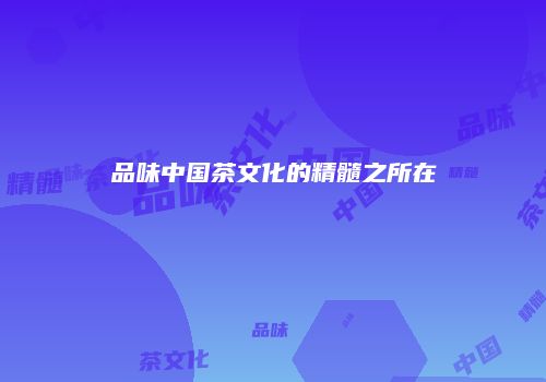 品味中国茶文化的精髓之所在