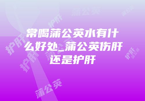常喝蒲公英水有什么好处_蒲公英伤肝还是护肝