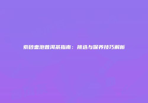 紫砂壶泡普洱茶指南：挑选与保养技巧解析