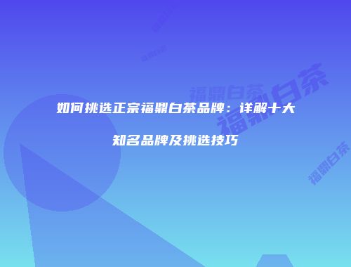 如何挑选正宗福鼎白茶品牌：详解十大知名品牌及挑选技巧