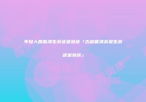 年轻人喝普洱生茶还是熟茶「古树普洱茶是生茶还是熟茶」