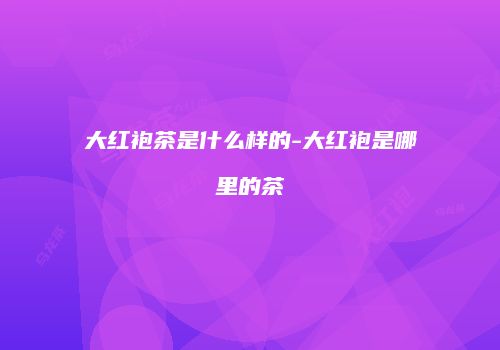 大红袍茶是什么样的-大红袍是哪里的茶