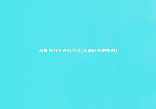 茶叶有几个芽几个叶(大茶叶芽的优劣)