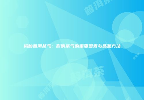 揭秘普洱茶气：影响茶气的重要因素与品鉴方法