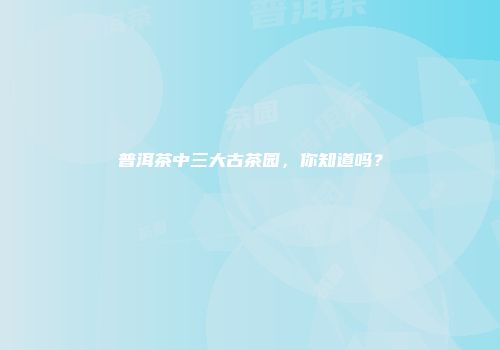 普洱茶中三大古茶园，你知道吗？