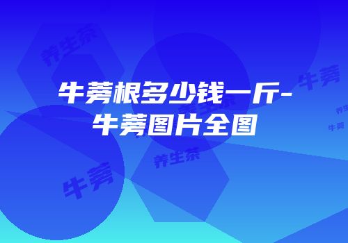 牛蒡根多少钱一斤-牛蒡图片全图
