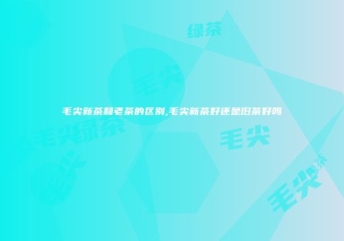毛尖新茶和老茶的区别,毛尖新茶好还是旧茶好吗