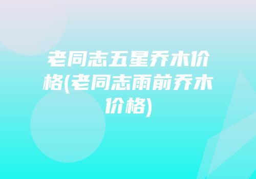 老同志五星乔木价格(老同志雨前乔木价格)