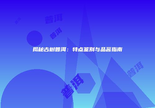 揭秘古树普洱：特点鉴别与品茗指南