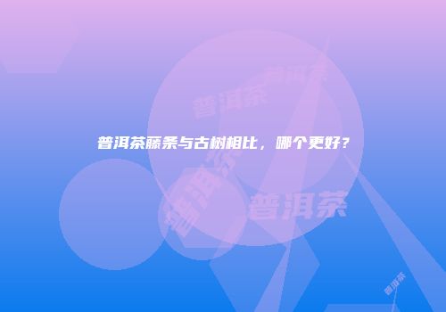 普洱茶藤条与古树相比，哪个更好？