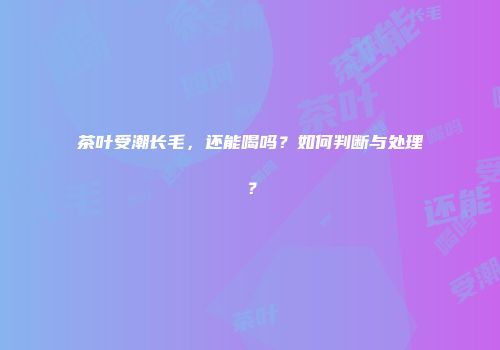 茶叶受潮长毛，还能喝吗？如何判断与处理？