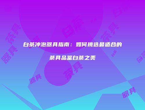 白茶冲泡器具指南：如何挑选最适合的茶具品鉴白茶之美