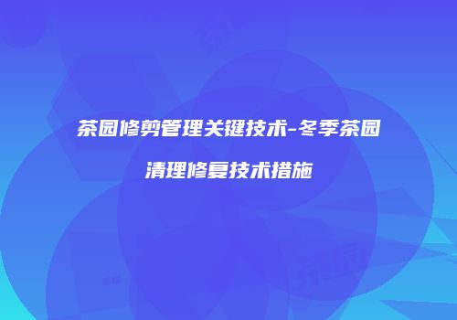 茶园修剪管理关键技术-冬季茶园清理修复技术措施