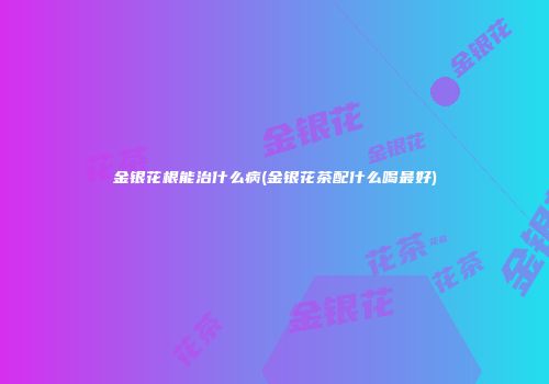 金银花根能治什么病(金银花茶配什么喝最好)
