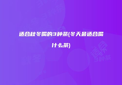 适合秋冬喝的3种茶(冬天最适合喝什么茶)