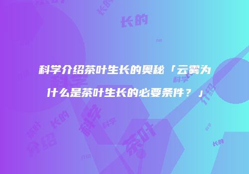 科学介绍茶叶生长的奥秘「云雾为什么是茶叶生长的必要条件？」