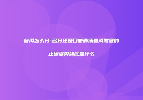 普洱怎么分-名分还是口感解锁普洱收藏的正确姿势到底是什么
