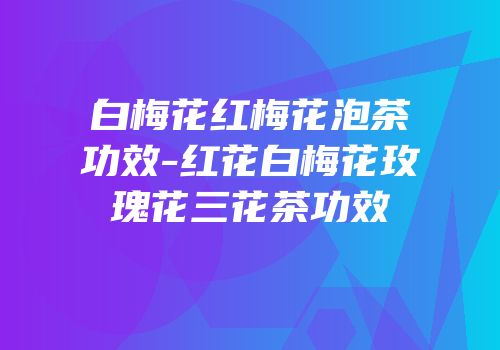 白梅花红梅花泡茶功效-红花白梅花玫瑰花三花茶功效