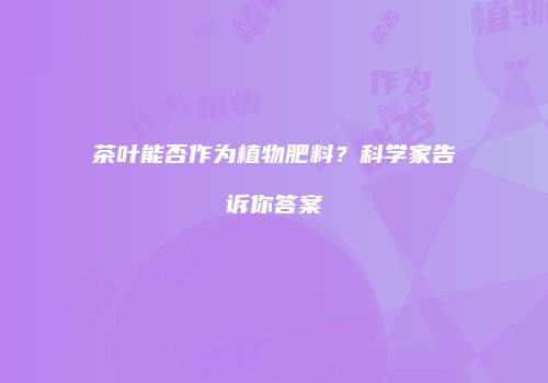 茶叶能否作为植物肥料？科学家告诉你答案
